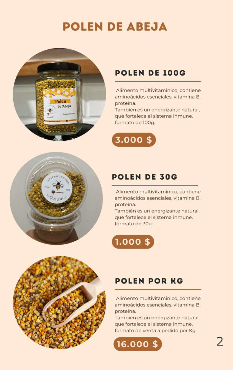 Captura de pantalla 2024 08 16 a las 2.04.51 a. m 768x1220